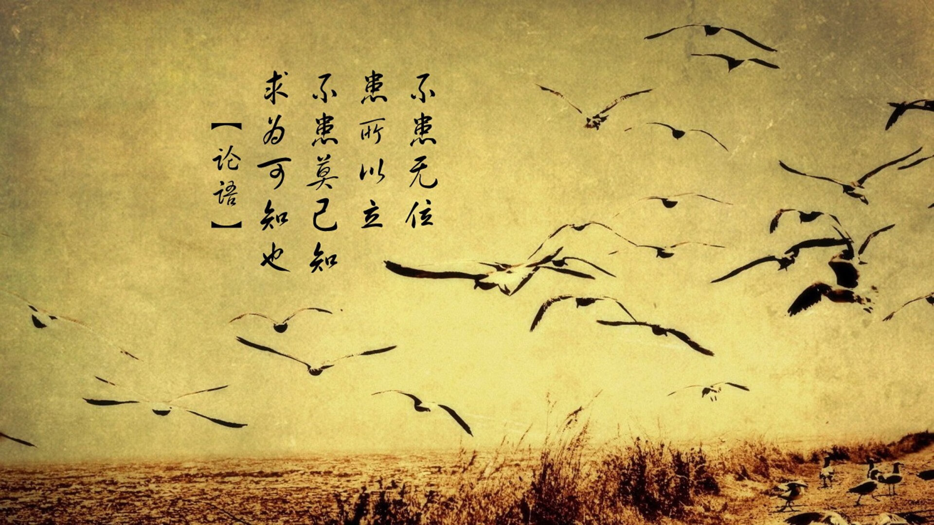 历史对比：今季积分变化与往年同期分析，年度积分排名更新