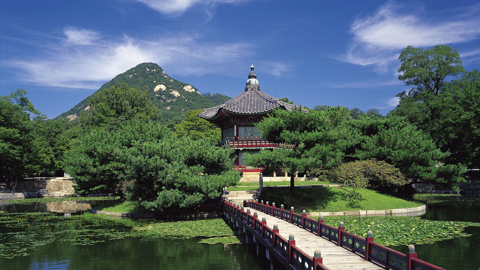 美国队在巴黎奥运会比赛中多次通过二次进攻得分，美国队奥运会重赛