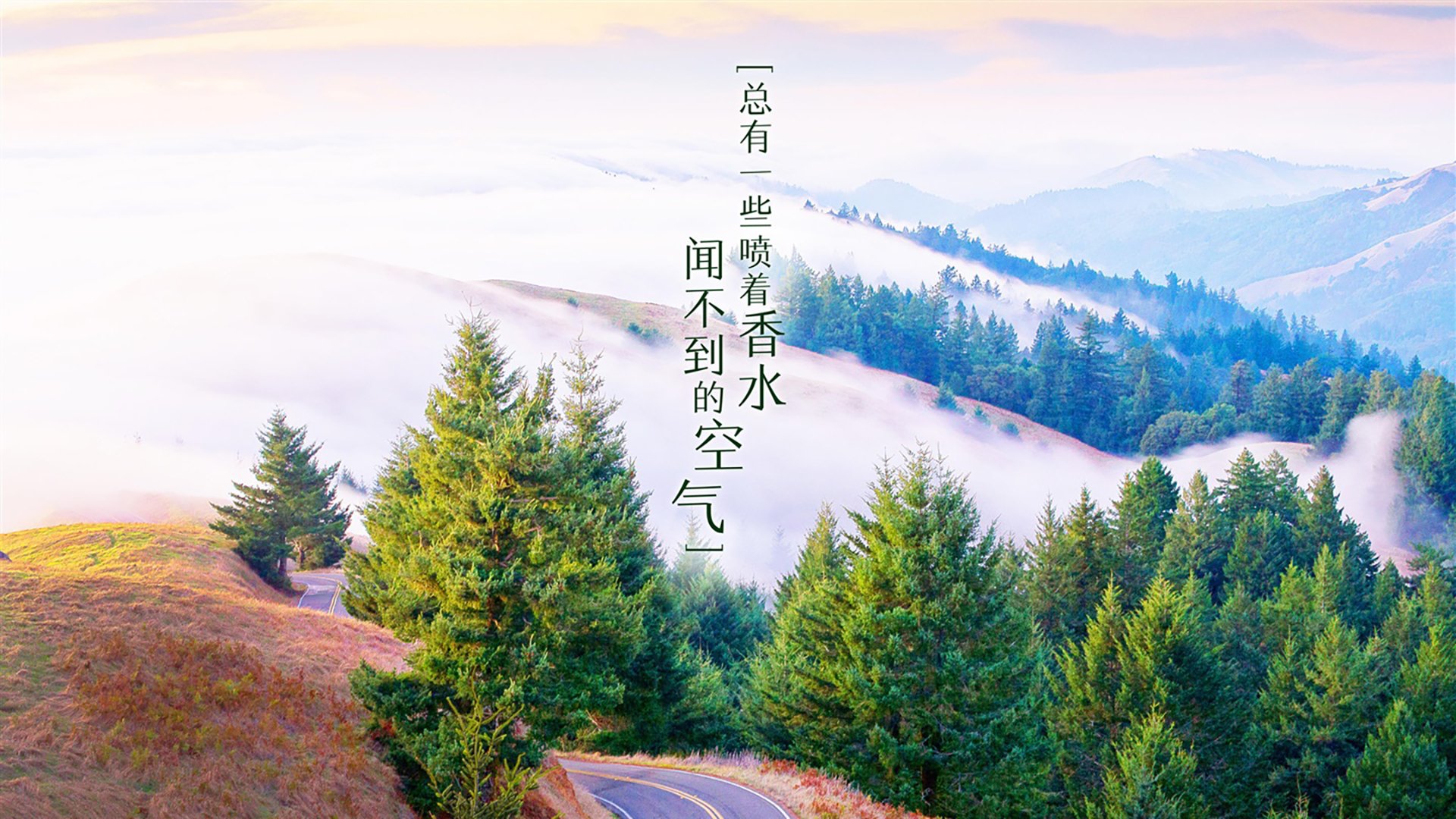 热刺后防稳固，白百合全力争夺欧战，白百合最近消息