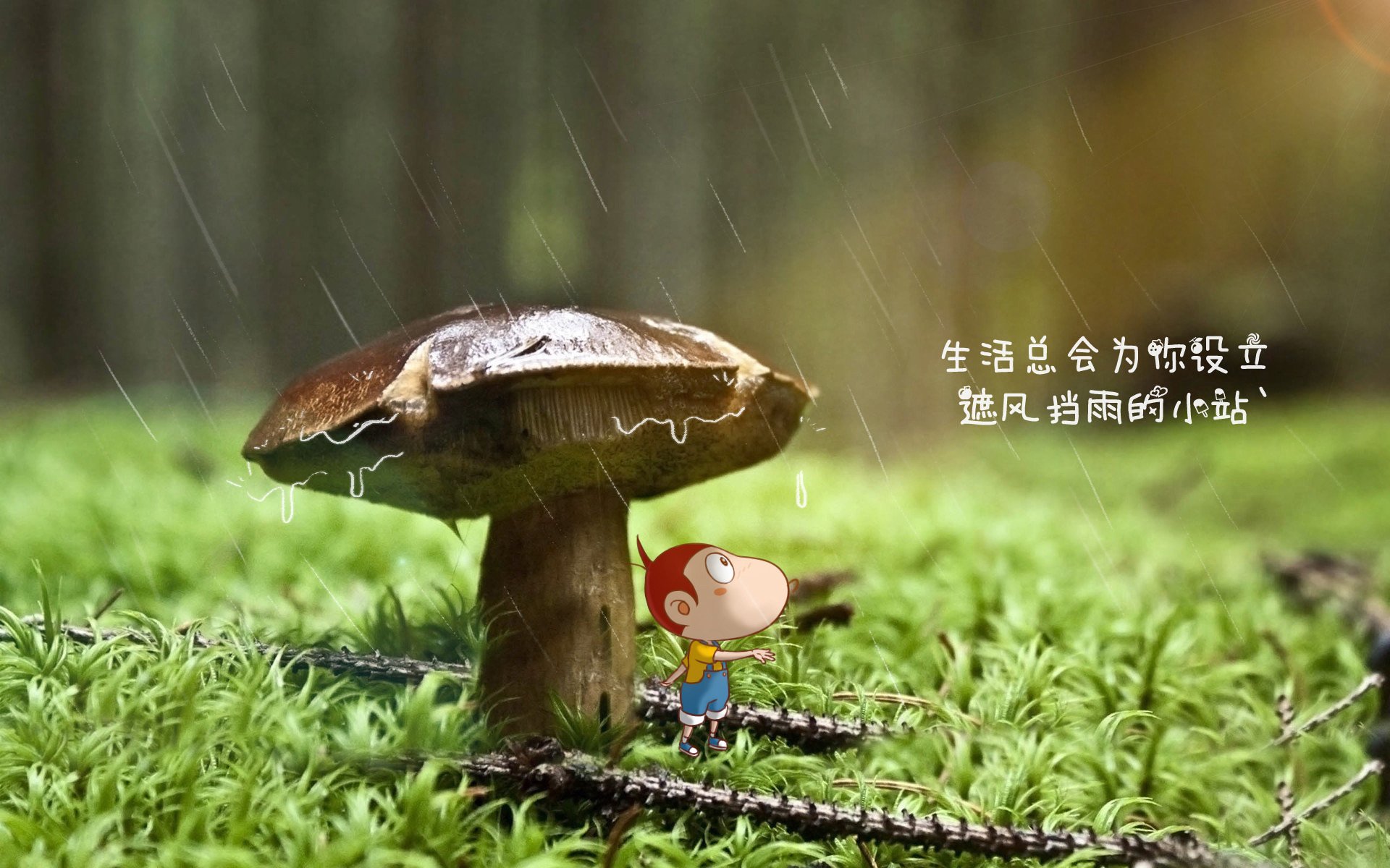 校园足球开设暑期集训选拔班形成人才发现闭环，2020年校园足球学校