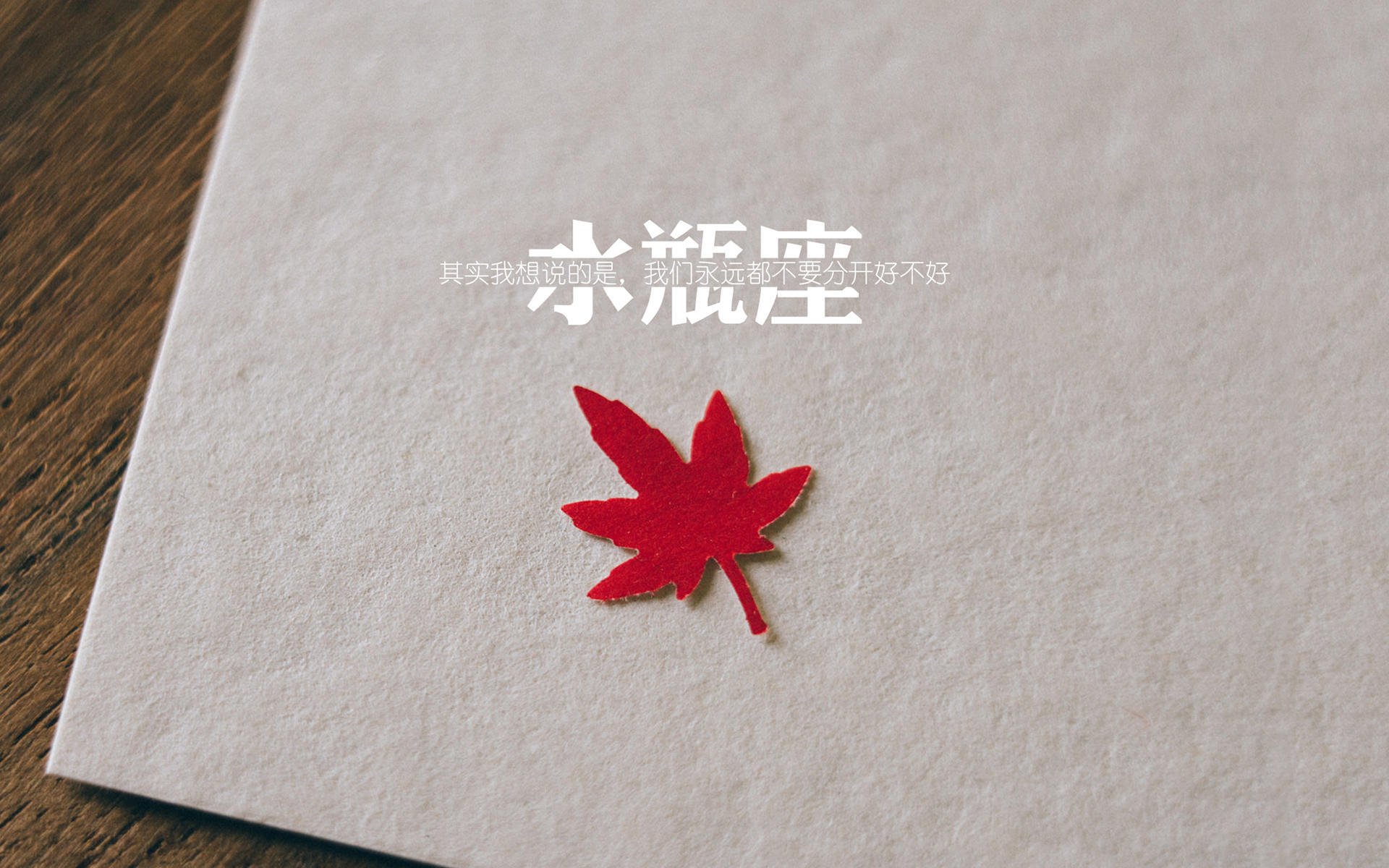 法国男子橄榄球队战术突破，成为新焦点，法国橄榄球队2019年历