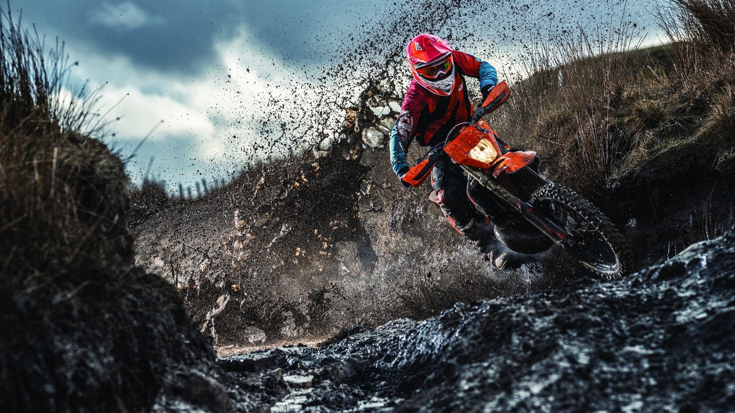 开云备用-_人工智能助力体育：未来比赛的智能化革命_，未来人工智能在体育领域能带来哪些应用